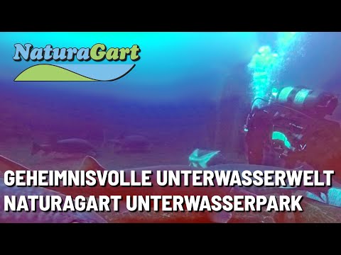 Youtube: Tauchen im Unterwasserpark von NaturaGart