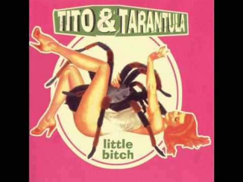 Youtube: Tito and Tarantula   Bitch