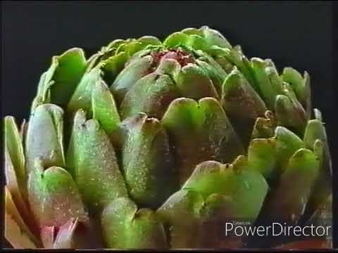 Youtube: Alte Werbung 1993  "Blanchet"