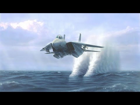 Youtube: F-14 Tomcat SONIC BOOM