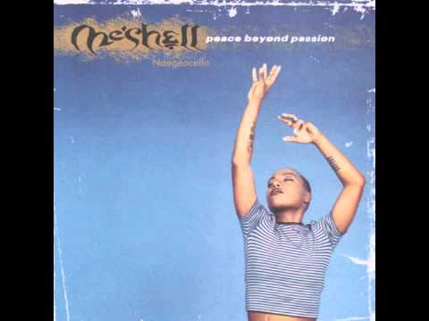Youtube: Who Is He And What Is He to You by ME'SHELL NDEGEOCELLO