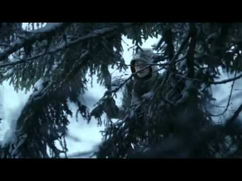 Youtube: Sonata Arctica • The Last Amazing Grays •