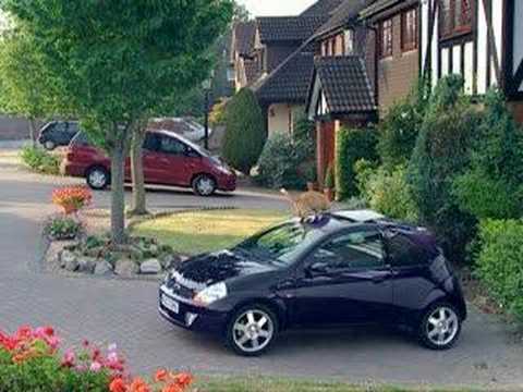 Youtube: car commercial - sun roof feature, cat gets a suprise