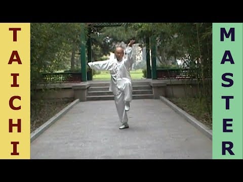 Youtube: Tai Chi Master Wang Shifu - Beautiful TaiQi Qiu style