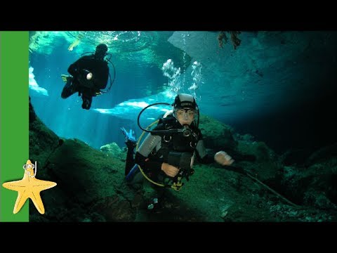 Youtube: Tauchen in Mexikos Höhlen - Dos Ochos Cenote