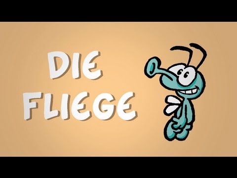 Youtube: Ruthe.de - Die Fliege
