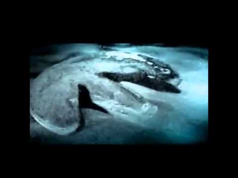 Youtube: UFO/USO crash on Baltic Seafloor !!! Ocean Explorer found anomaly in Baltic Sea (Jun.2012)-Teil-1