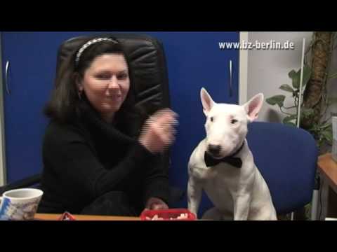 Youtube: Der Hund, der "Mama" sagt