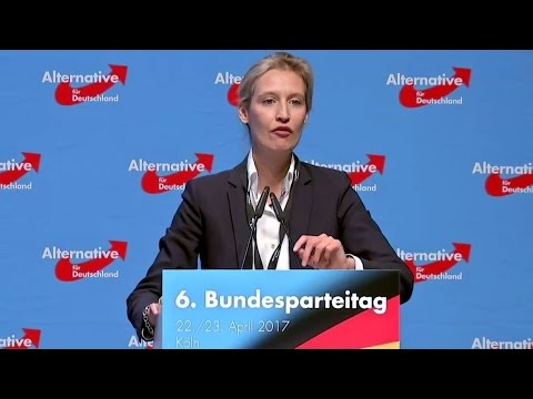 Youtube: So denkt Alice Weidel (AfD) über "Politische Korrektheit"