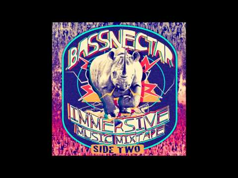 Youtube: Bassnectar - Window Seat 2013