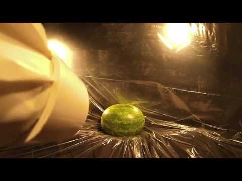 Youtube: Supersonic Ping Pong Ball Cannon Destroys Watermelon