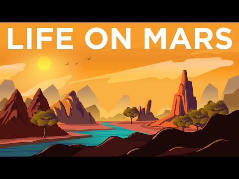 Youtube: What If There Was Life on Mars?