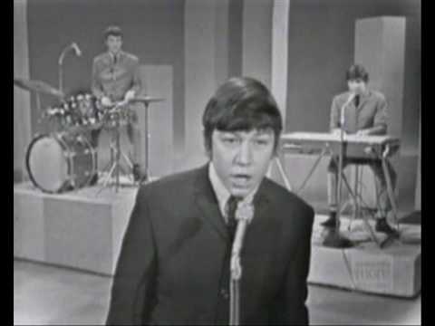 Youtube: Please Don´t Let Me Be Misunderstood- The Animals