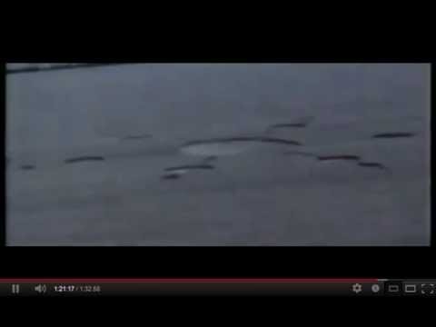 Youtube: kornkreise von ufos? (crop circle of ufos?)