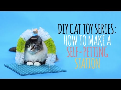 Youtube: DIY Cat Toys - How to Make a Self Petting Station