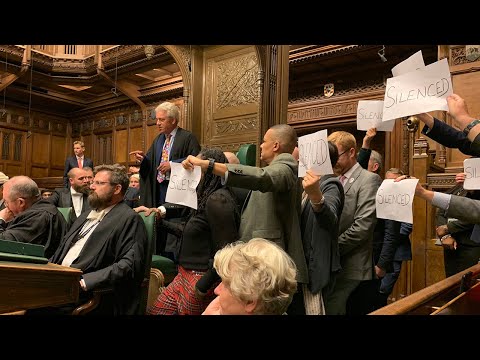 Youtube: MPs spark chaos in Parliament in prorogation protest