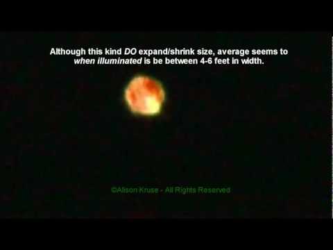 Youtube: SAME UFO type SEEN 3 PLACES?- DAY & Night Captures - COMPARE & SEE!