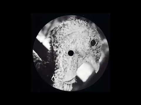 Youtube: Dorisburg - Venom [MOUNTAIN003]