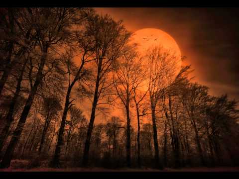 Youtube: Klaus Schulze - The Theme: The Rhodes Elegy [HQ]
