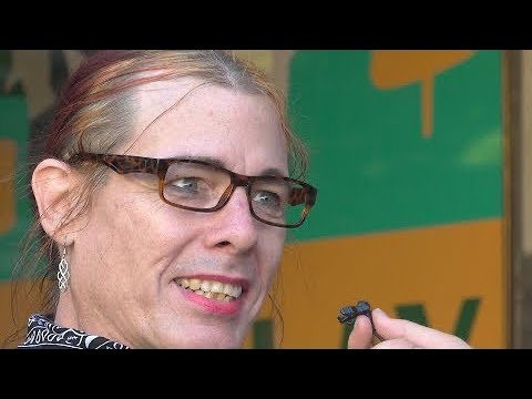 Youtube: Pro Choice Rally