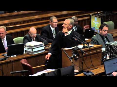 Youtube: Mord-Prozess um Oscar Pistorius: 15 Jahre Haft sind möglich | Reeva Steenkamp