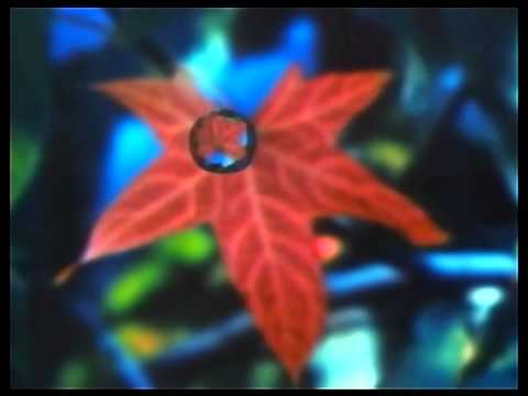 Youtube: Lightning Seeds  -  Pure HD