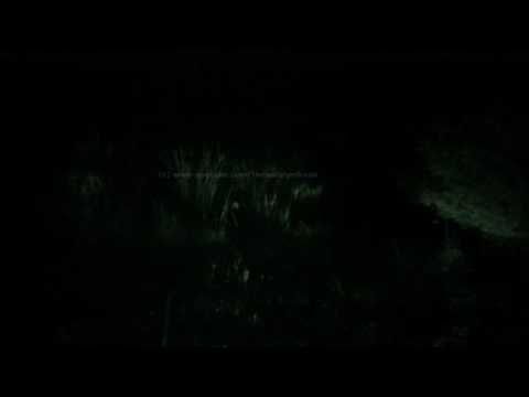 Youtube: Real Alien Sighting!!Photos - 5!!!!! Clear photos!!Spooky - 19.1.2011 Australia