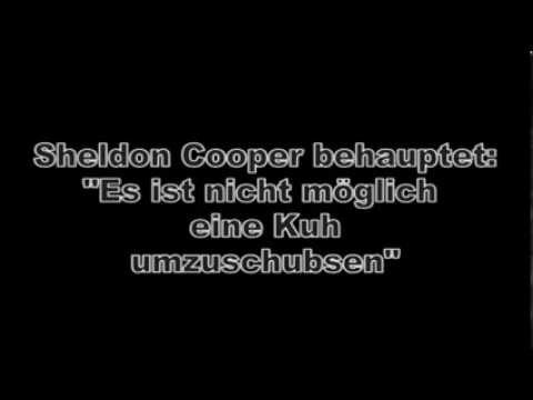 Youtube: Sheldon Coopers Theorie (Kuhschubsen)