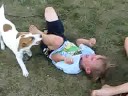 Youtube: Dog Attacks Little Boy 1