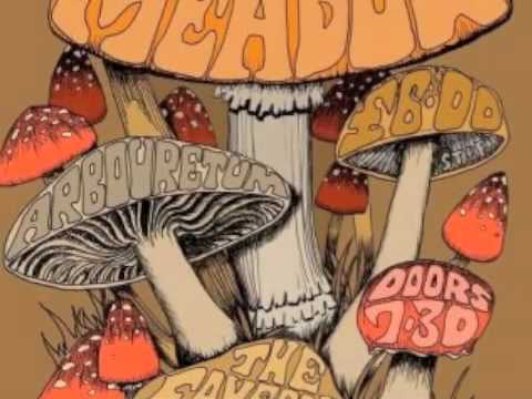 Youtube: Dead Meadow :: Me and the Devil Blues