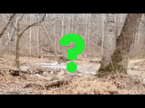 Youtube: Ron Morehead's Legendary “Sierra Sounds Bigfoot Recordings” Has Finally Met Its Match (In Kentucky)