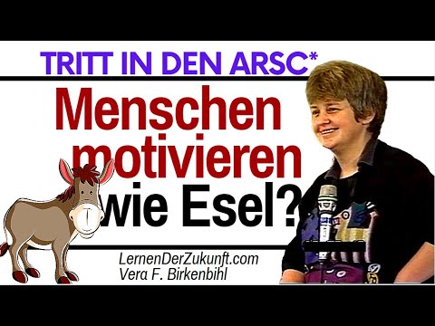 Youtube: Wie geht Menschen motivieren? | Vera F. Birkenbihl Selbstmanagement 23