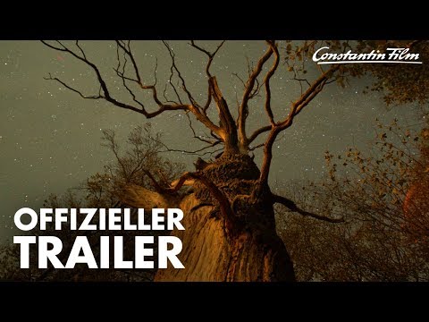 Youtube: DAS GEHEIME LEBEN DER BÄUME I Offizieller Trailer