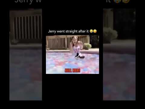 Youtube: Having an attack duck is now number 1 on my bucket list 💯🤣🤣🤣 #shorts #shortsfeed #funny #trending