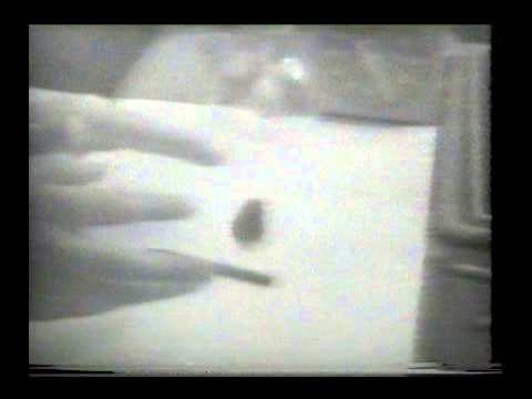Youtube: Silvio - Psychokinese-Experimente - Videoaufnahmen 1975-1977 - Bleistiftbewegung