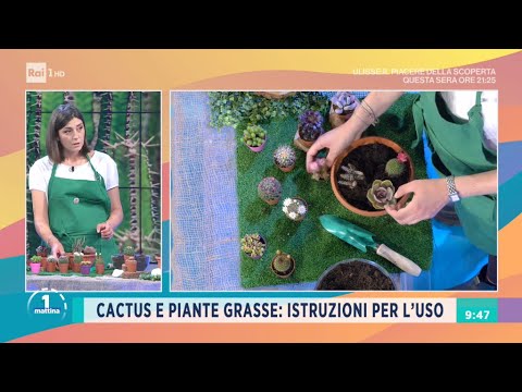 Youtube: Il giardino di Castello Ruspoli a Vignanello - Unomattina 28/04/2021