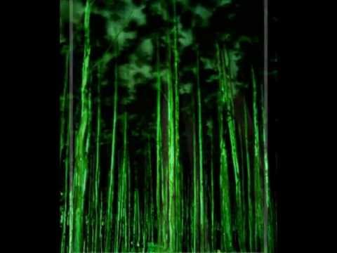 Youtube: The Cure - A Forest