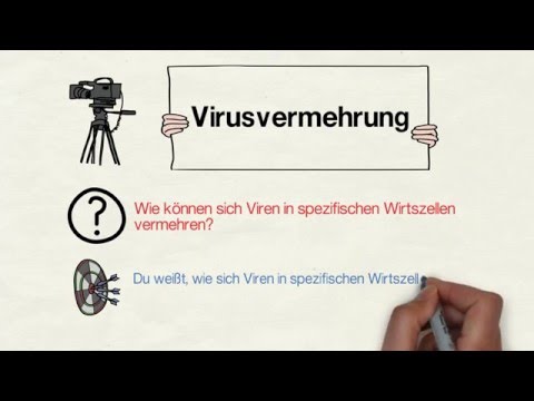 Youtube: Virusvermehrung