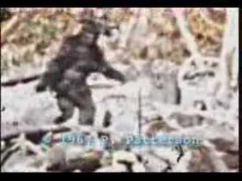 Youtube: bigfoot patterson tiagopsc