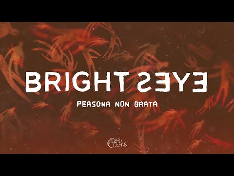 Youtube: Bright Eyes - Persona Non Grata (Official Visualizer)