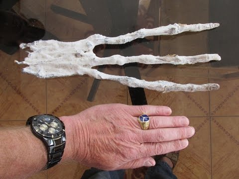 Youtube: Strange Alien Hand Found On The Coast Of Peru