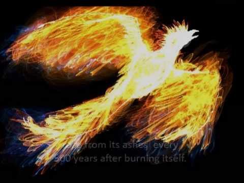 Youtube: Myth of The Phoenix