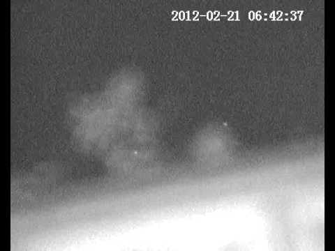 Youtube: what birds look like filmed on night vision camera UFO comparison