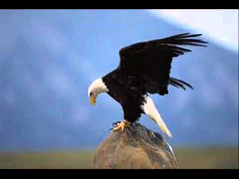Youtube: Pur - Adler Sollen Fliegen