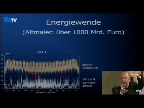 Youtube: NAEB: Aus der Abschiedsvorl. Prof. Hans-Werner Sinn