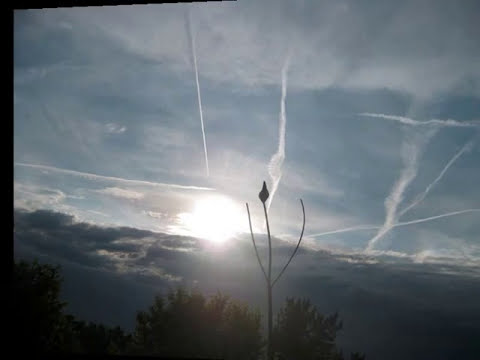 Youtube: Chemtrails machen Eugeniker babylonische Fischmützen Satan Papst SoDOMa Anbeter