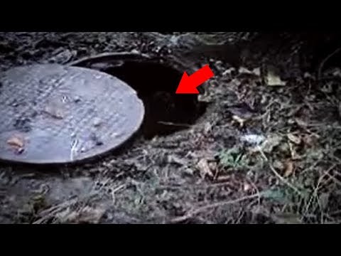 Youtube: 5 Sewer Monsters Caught On Camera & Spotted In Real Life!