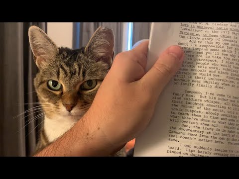 Youtube: How Minnie “nonchalantly” seeks attention when I’m reading a book