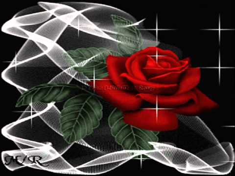 Youtube: Eros Ramazotti - Ti Amo.wmv