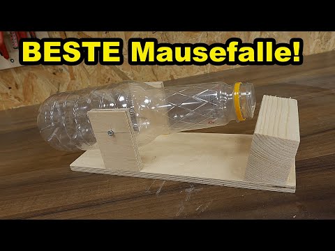 Youtube: Mit dieser Mausefalle fängst du sie alle LEBENDIG